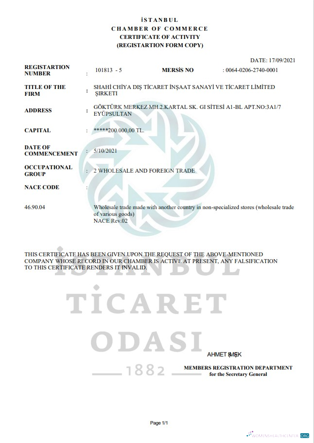 Download Turkey Istanbul Certificate of Activity template in Word and PDF format Photoshop template